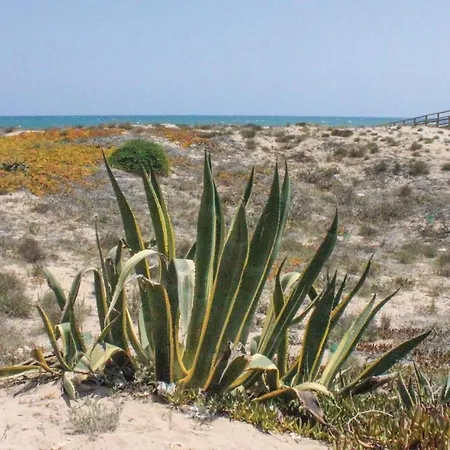 Awesome In La Mata-torrevieja With 2 Bedrooms And Wifi *